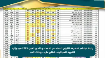 رابط مباشر لمعرفة نتائج السادس الإعدادي الدور الأول 2025 من وزارة التربية العراقية – اطلع على درجاتك الآن